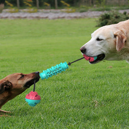 HKM-7540285 Durable TPR Chew Stick for Dogs - Teeth Cleaning Dumbbell Design in Red, Blue, and Green