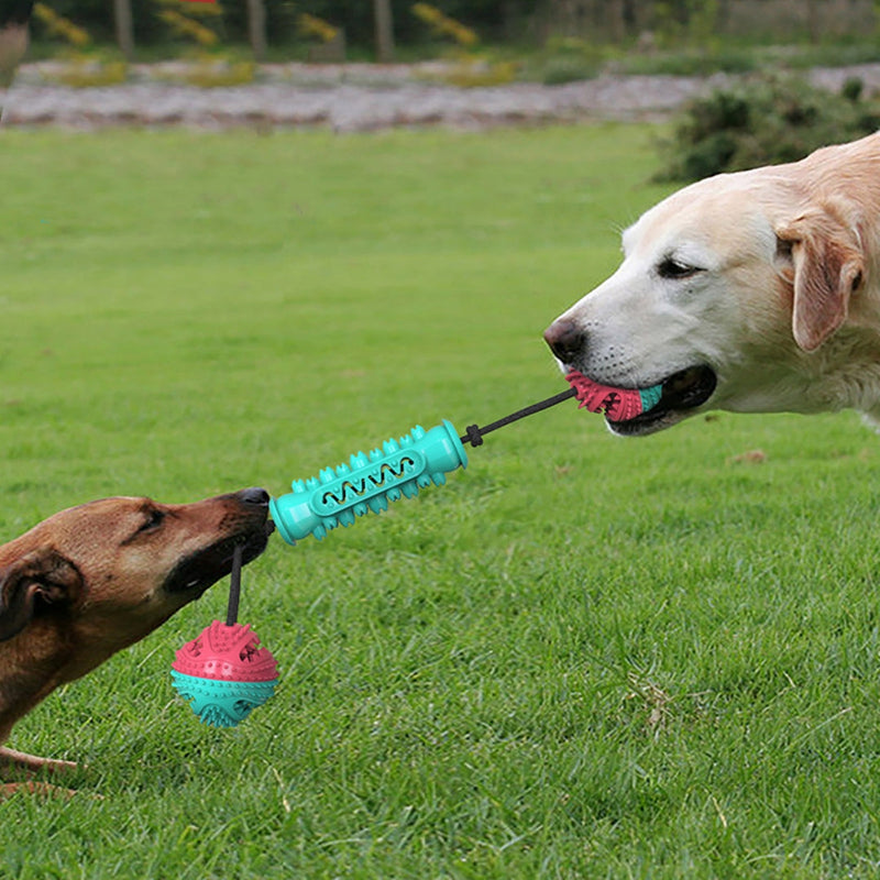 HKM-7540285 Durable TPR Chew Stick for Dogs - Teeth Cleaning Dumbbell Design in Red, Blue, and Green
