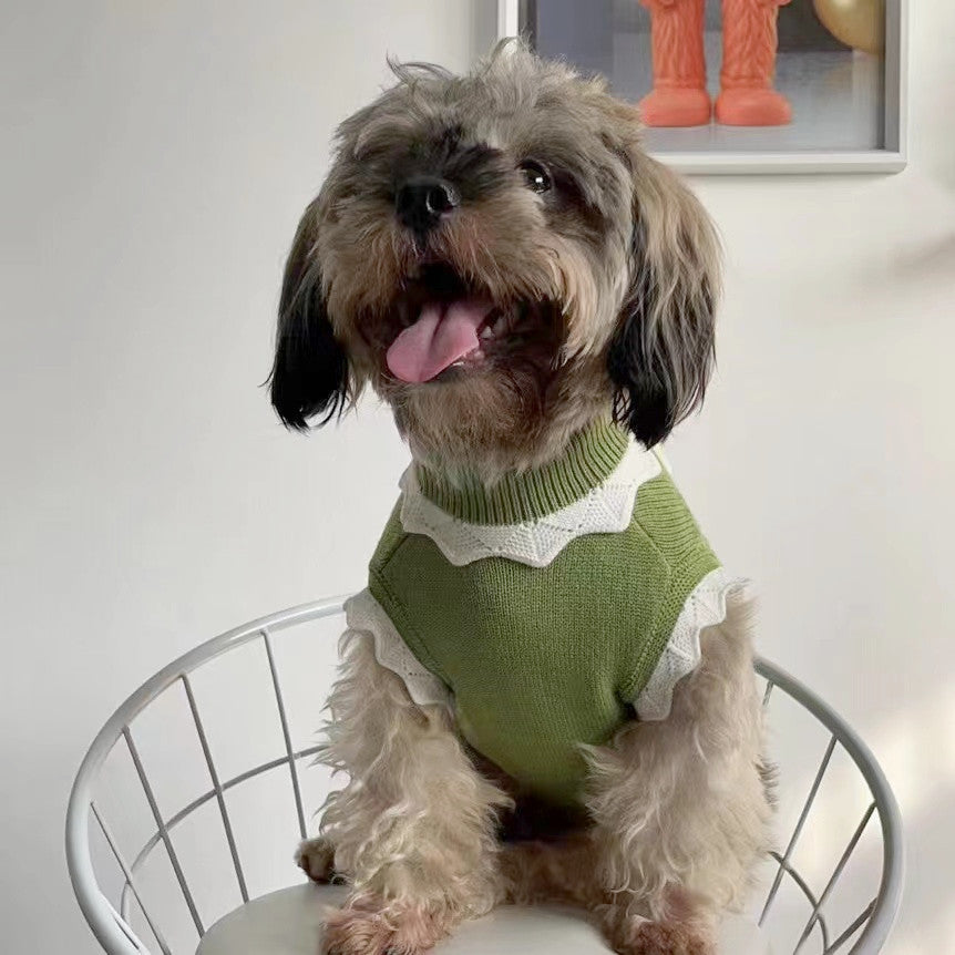 HKM-7558589 Cozy Flower Blossom Sweater for Dogs and Cats - Autumn & Winter Pet Wear