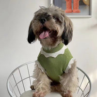 HKM-7558589 Cozy Flower Blossom Sweater for Dogs and Cats - Autumn & Winter Pet Wear