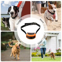 HKM-7564349 Wireless Electric Dog Fence with Waterproof Collar, Vibration Alert, 500m Range, Various Standards
