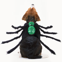 HKM-7568829 Sequined Spider Costume for Small Dogs and Cats in Red, Purple, and Green