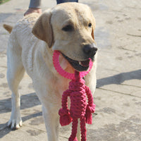 HKM-7569469 Interactive Knot Dog Toy - Hemp Rope & TPR Chewable, 45x30x4.6cm