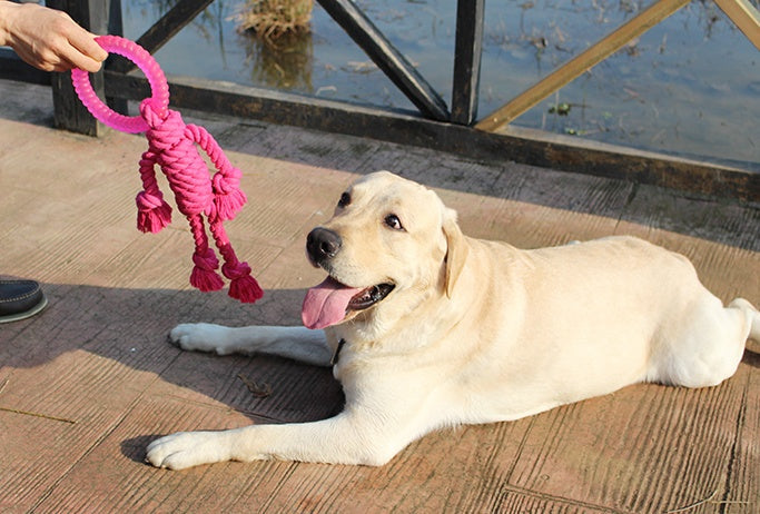 HKM-7569469 Interactive Knot Dog Toy - Hemp Rope & TPR Chewable, 45x30x4.6cm