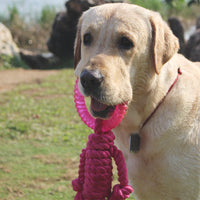 HKM-7569469 Interactive Knot Dog Toy - Hemp Rope & TPR Chewable, 45x30x4.6cm