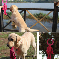 HKM-7569469 Interactive Knot Dog Toy - Hemp Rope & TPR Chewable, 45x30x4.6cm