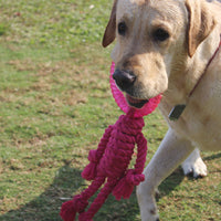 HKM-7569469 Interactive Knot Dog Toy - Hemp Rope & TPR Chewable, 45x30x4.6cm