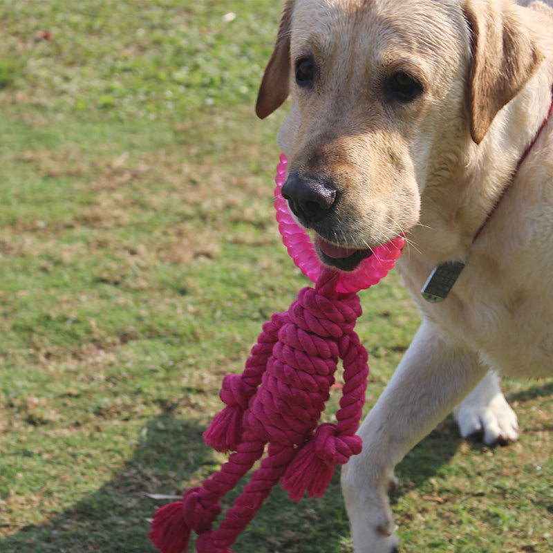 HKM-7569469 Interactive Knot Dog Toy - Hemp Rope & TPR Chewable, 45x30x4.6cm