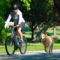 HKM-7574205 Hands-Free Stainless Steel Dog Bike Leash with Adjustable Length for Comfortable Walking and Bicycling