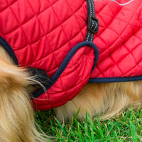 HKM-7574845 Adjustable Cotton Jacket for Pets in Red and Navy Blue