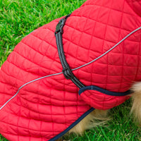 HKM-7574845 Adjustable Cotton Jacket for Pets in Red and Navy Blue