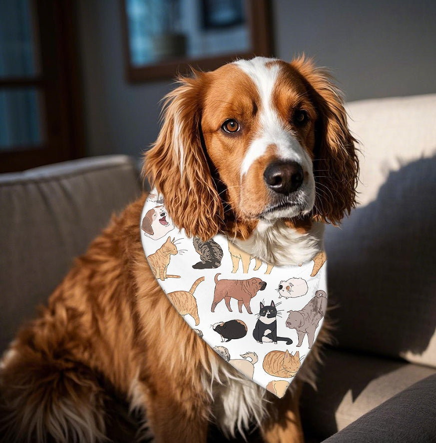 HKM-7582525 Reversible Pet Bandana in Random Patterns - Available in S, M, L Sizes, Made of Durable Polyester