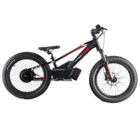 HKM-758483 20-Inch Electric Balance Bike with Removable Battery, 3-Speed Off-Road, Hydraulic Disc Brakes, 36V Motor