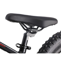 HKM-758483 20-Inch Electric Balance Bike with Removable Battery, 3-Speed Off-Road, Hydraulic Disc Brakes, 36V Motor