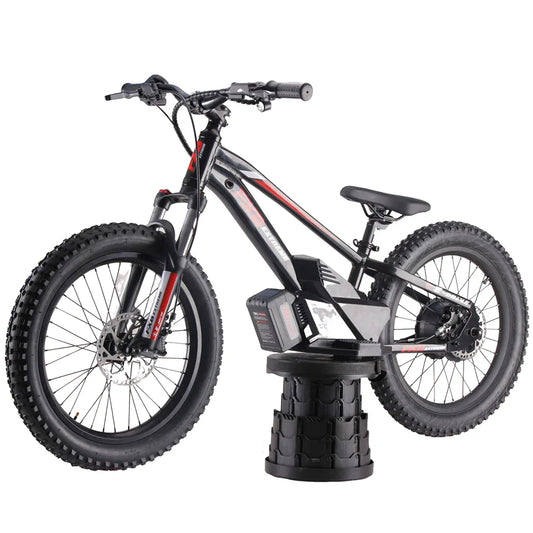 HKM-758483 20-Inch Electric Balance Bike with Removable Battery, 3-Speed Off-Road, Hydraulic Disc Brakes, 36V Motor