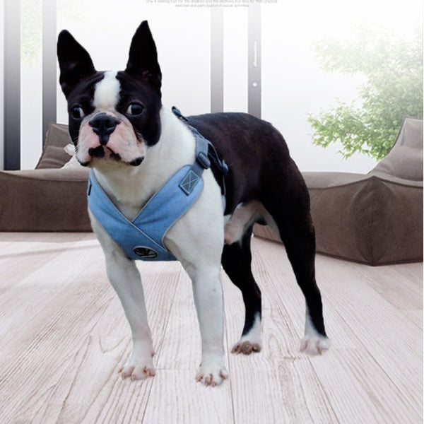 HKM-7585213 Breathable Chest Strap for Puppies - Lightweight, Durable Flying Woven & Diving Fabric