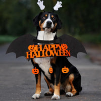 HKM-7591357 Luminous Skeleton Bone Bat Wings Dog Halloween Costume for Small to Large Pets