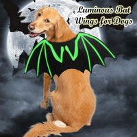 HKM-7591357 Luminous Skeleton Bone Bat Wings Dog Halloween Costume for Small to Large Pets