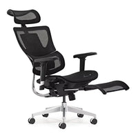 HKM-759507 Ergonomic Mesh Swivel Office Chair with 2D Headrest, Lumbar and Footrest Support