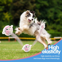 HKM-7605821 Colorful Plush Vocalization Acanthosphere TPR Molar Toy for Pets