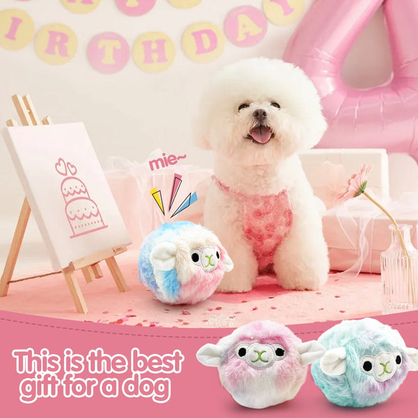 HKM-7605821 Colorful Plush Vocalization Acanthosphere TPR Molar Toy for Pets