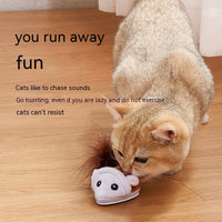 HKM-7607997 Interactive Electric Teaser Mouse Pet Toy with Sound Simulation for Fun Playtime