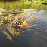 HKM-7611325 Dragon Tail Dog Life Jacket - Adjustable Polyester Vest for Safe Water Adventures, Multi-Size Options