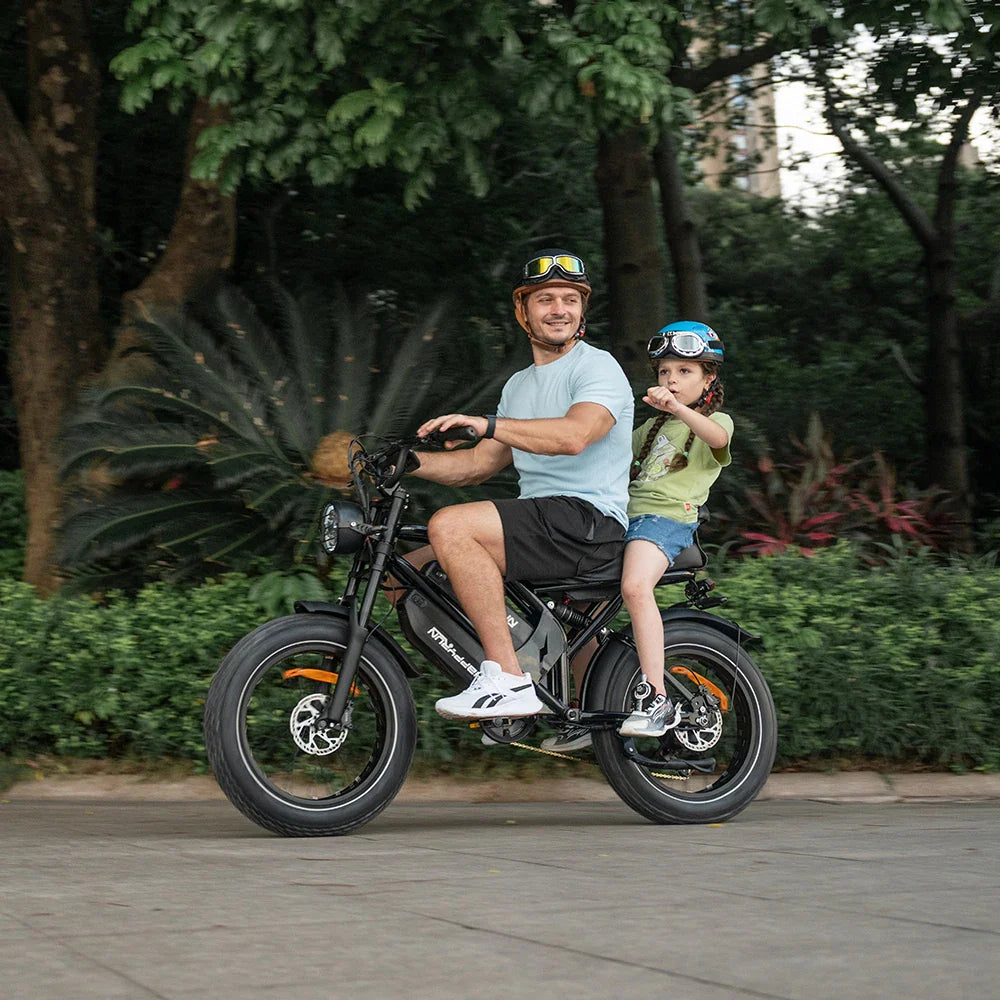 HKM-761299 2000W Dual Battery Electric Cargo Bike - HappyRun G70, Fast Streetbike, 48V Motor, Max Speed 40-60 km/h