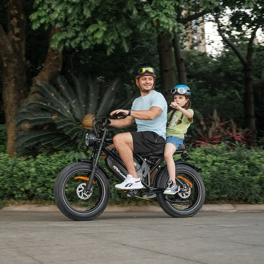 HKM-761299 2000W Dual Battery Electric Cargo Bike - HappyRun G70, Fast Streetbike, 48V Motor, Max Speed 40-60 km/h