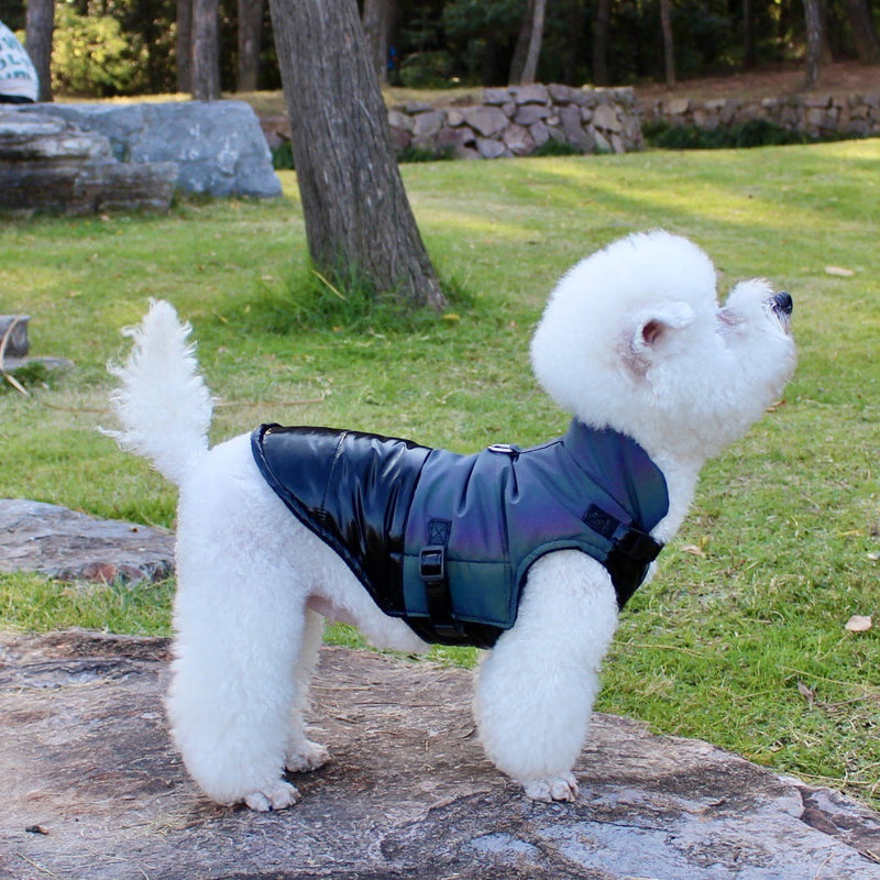HKM-7613501 Cozy Cotton Dog Apparel for Comfort and Warmth in Multiple Sizes