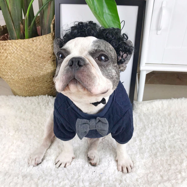 HKM-7616701 Stylish Blue Wool Dog Sweater - England Style, Size M, Comfortable & Versatile
