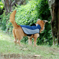 HKM-7617085 Waterproof Breathable Outdoor Dog Stormsuit in Blue and Brown