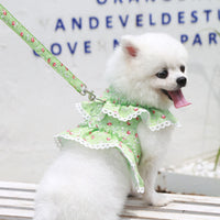 HKM-7619261 Small Floral Lace Teddy Bear Dog Leash with Chest Strap for Pets Up to 15 kg
