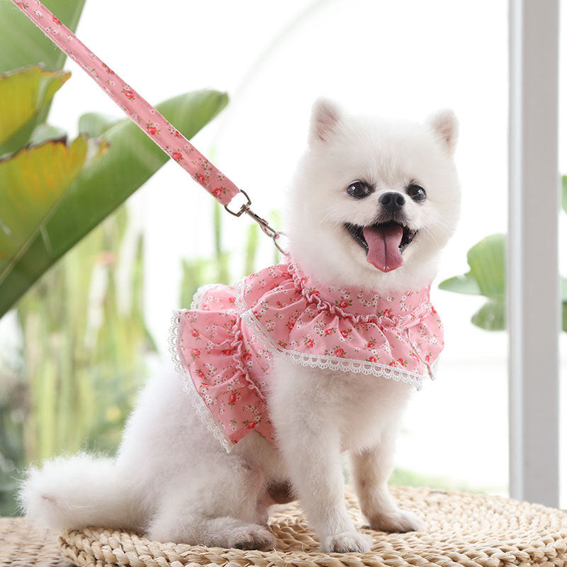 HKM-7619261 Small Floral Lace Teddy Bear Dog Leash with Chest Strap for Pets Up to 15 kg