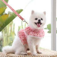 HKM-7619261 Small Floral Lace Teddy Bear Dog Leash with Chest Strap for Pets Up to 15 kg
