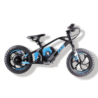HKM-761939 Kids 12-Inch Electric Bike with 250W Hub Motor and Aluminum Alloy Frame