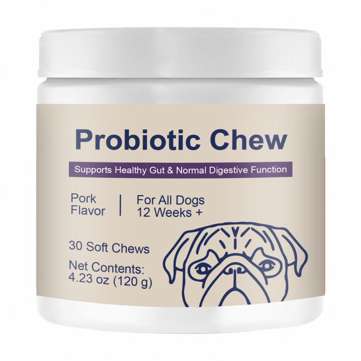 HKM-7630269 Chewable Probiotic Tablets for Dogs | Supports Intestinal Health | 120G Bottle