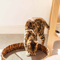 HKM-7630397 Warm Rattan Cat Nest with Cotton Cushion for Comfortable Scratching and Resting