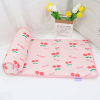 HKM-7645757 Pet Cool Ice Pad for Dogs and Cats in Various Colors and Sizes