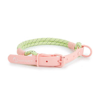 HKM-7652925 Adjustable Dog Traction Vest and Collar Set with Leash - Available in Purple and Pink