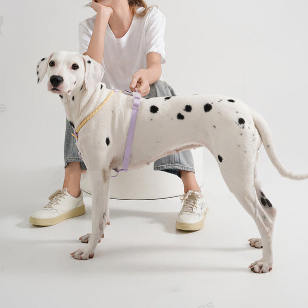 HKM-7652925 Adjustable Dog Traction Vest and Collar Set with Leash - Available in Purple and Pink