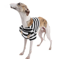 HKM-7656893 Striped Black and White Dog Halloween Costume for Pets in Various Sizes