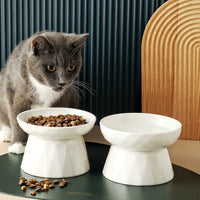 HKM-7657405 Ceramic Tall Slow Feed Cat Bowl for Spine Protection