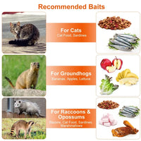 HKM-7660861 Humane Live Animal Trap for Catching Cats, Raccoons, and Small Rodents - Collapsible Galvanized Wire Trap