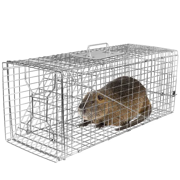 HKM-7660861 Humane Live Animal Trap for Catching Cats, Raccoons, and Small Rodents - Collapsible Galvanized Wire Trap