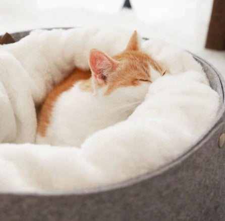 HKM-7661245 Cozy Detachable Pet Bed for Cats - Sizes S (up to 8 kg) and M (up to 15 kg)