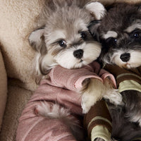 HKM-7661757 Comfortable Contrast Color Dog Clothes for Teddy, Schnauzer, and Bichon - XS to XXL