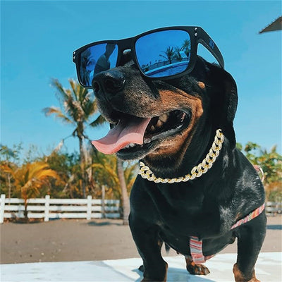 HKM-7665597 Cuban Link Chain Dog Collar Necklace with Diamond Detailing - Available in Gold and Silver