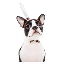 HKM-7667773 Pet Halloween Headdress Hat with Fun Props - Axe, Scissors, Saw, Syringe, Hammer, Wrench, Wine Bottle, Pliers, Sizes S & M