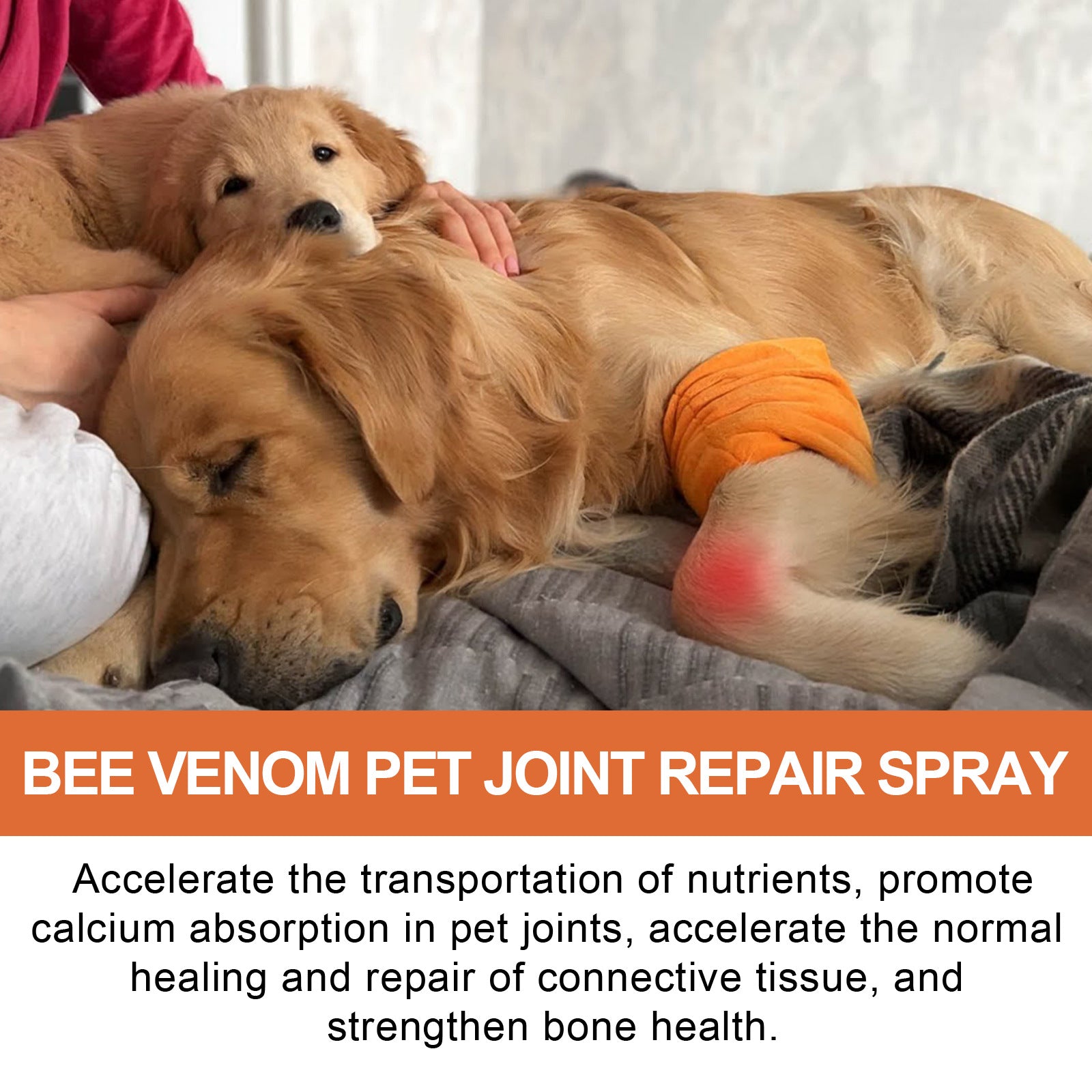 HKM-7670589 Joint Care Spray for Pets - Relief from Joint Discomfort and Muscle Weakness, 20g